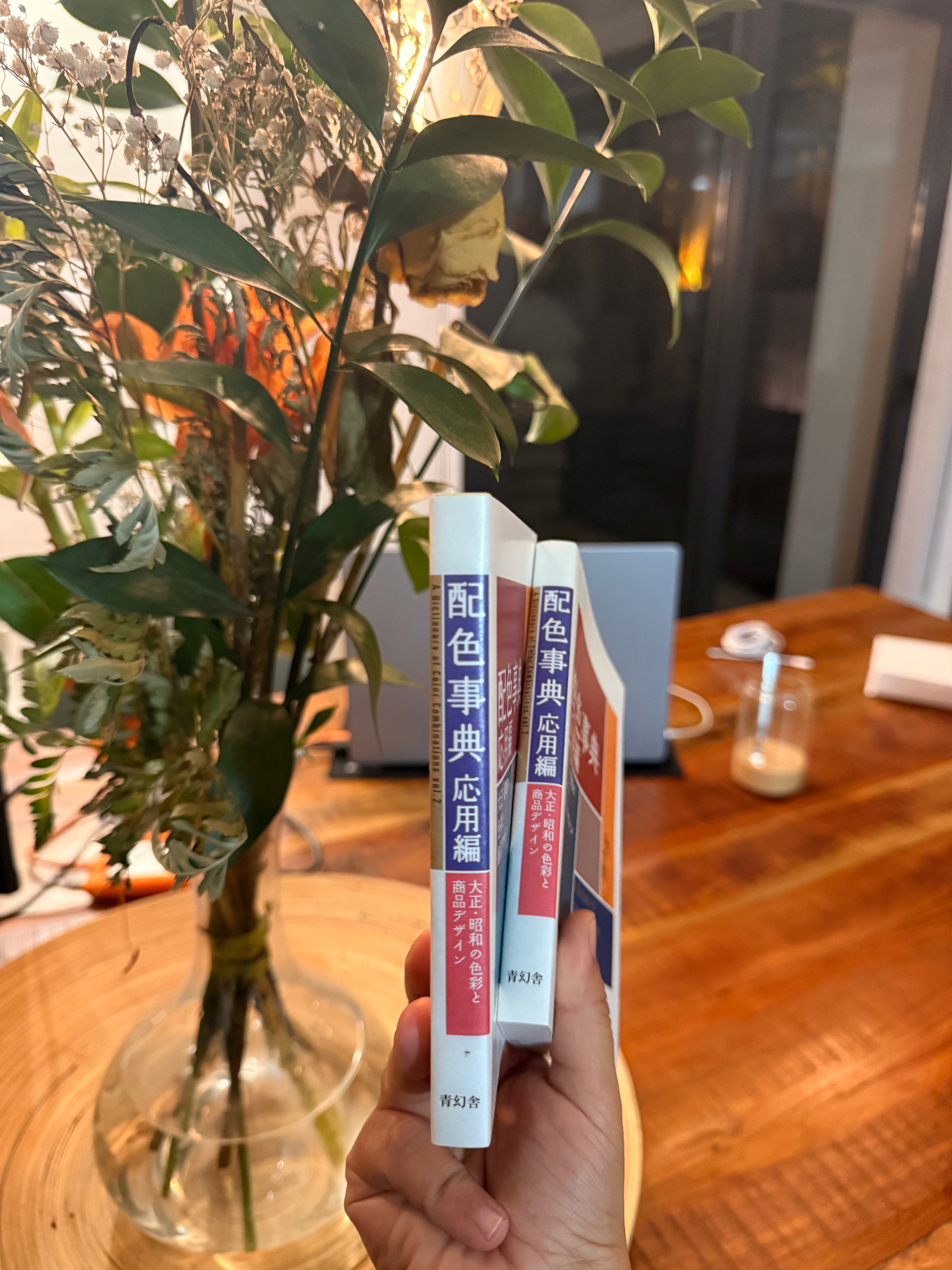 A Dictionary of Combinations Color Vol.2